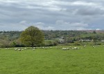 Images for Penygelli Road, Coedpoeth