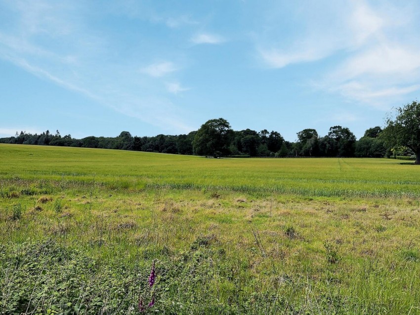 Images for Brocton Road, Milford