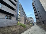 Images for Every Street, Manchester