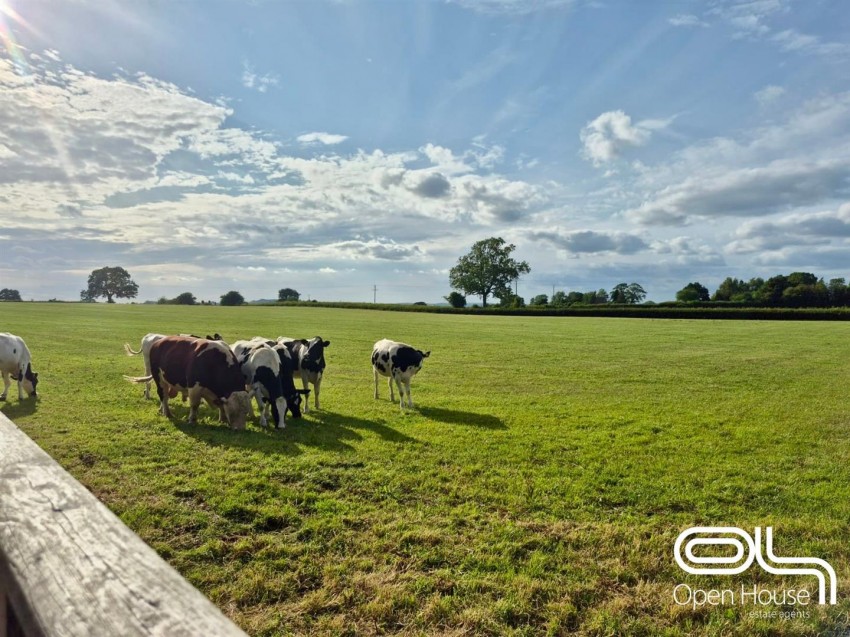 Images for Sandon Bank, Stafford