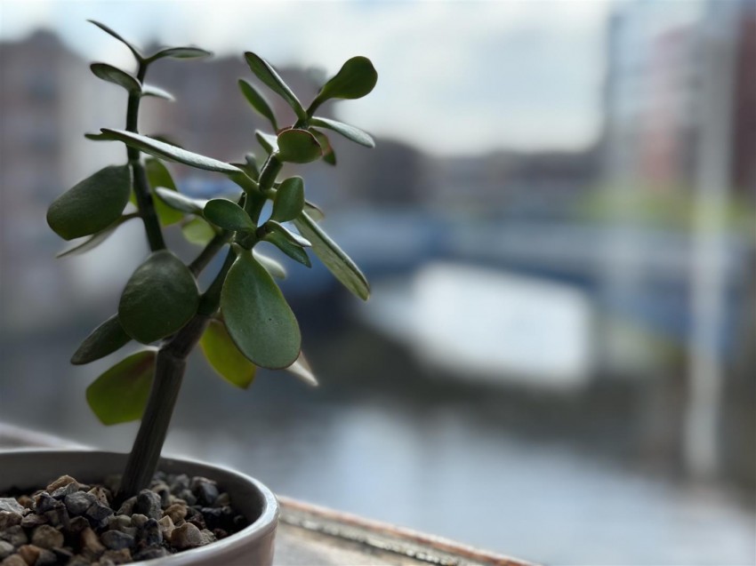 Images for Riverside Court, Leeds