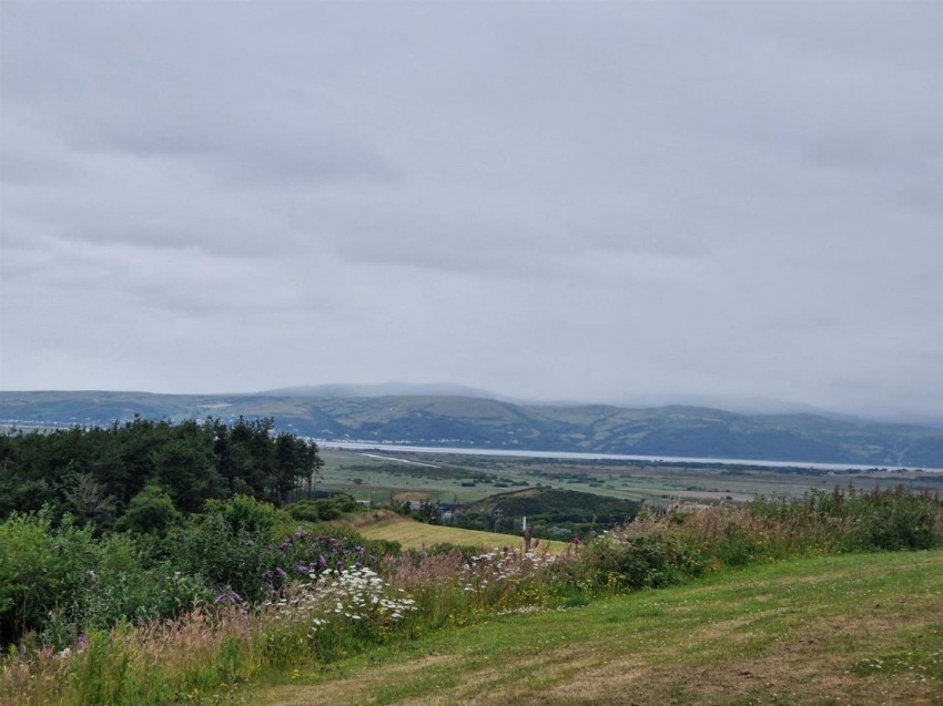 Images for Borth, Borth