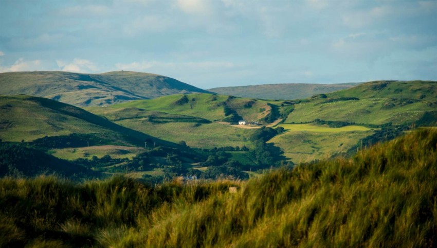 Images for Borth, Borth