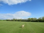 Images for Waldegraves Ln, West Mersea, Colchester