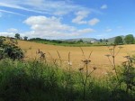 Images for Appleby