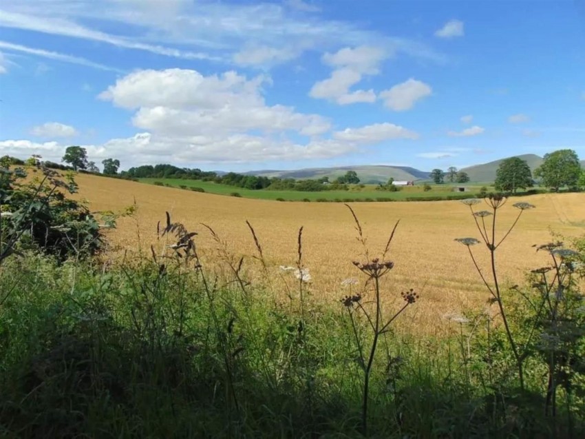 Images for Appleby