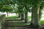 Images for Appleby