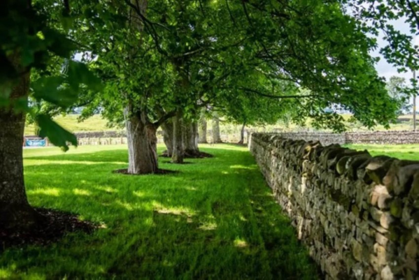 Images for Appleby